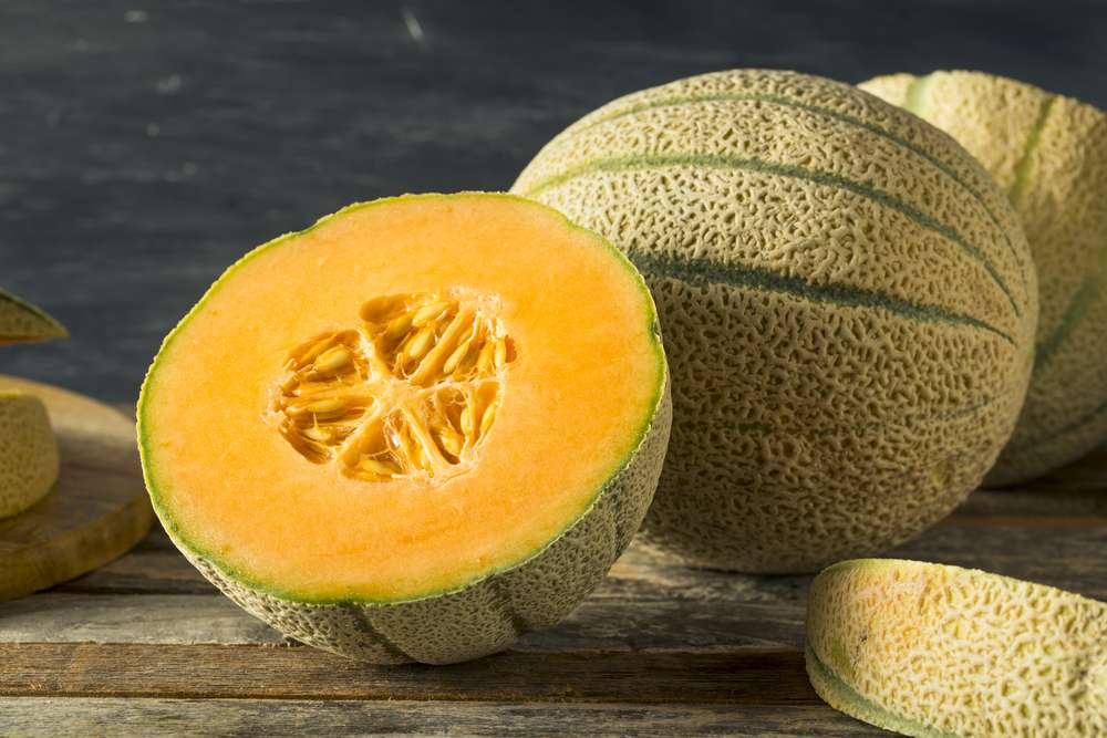 Cantaloupe Melonen ganz
